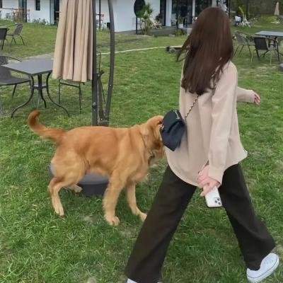 跳舞的红色公交海报